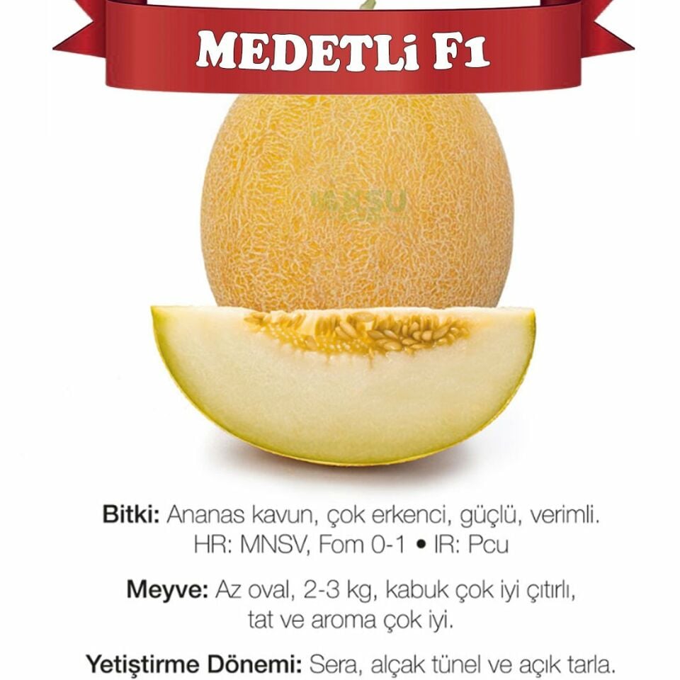 Medetli F1 Ananas Kavun Tohumu