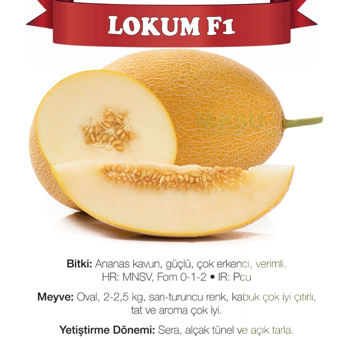 Lokum F1 Ananas Tipi Kavun Tohumu