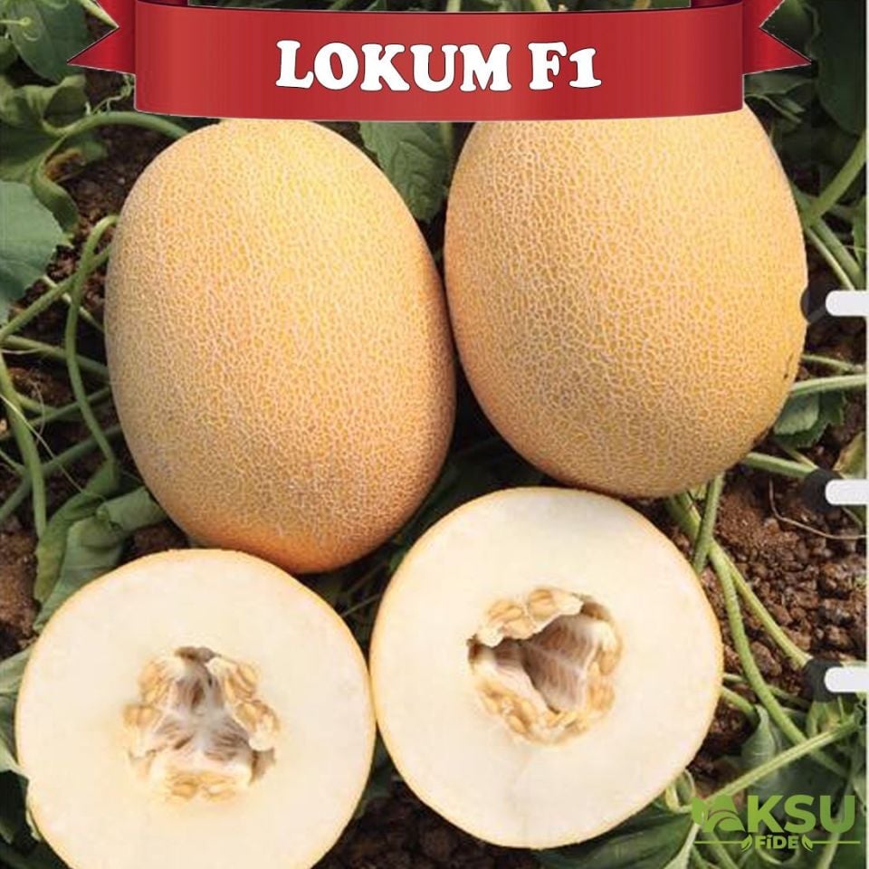 Lokum F1 Ananas Tipi Kavun Tohumu