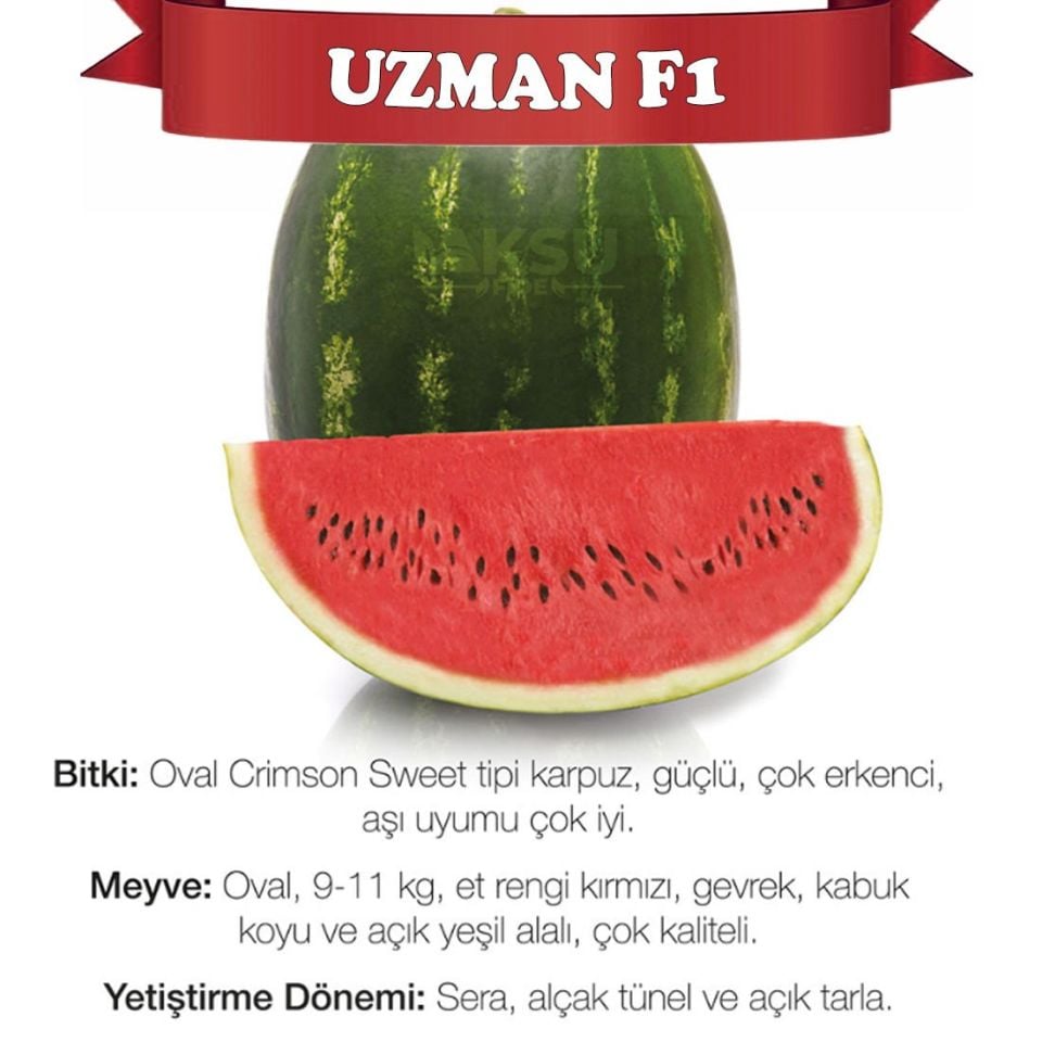 Uzman F1 Ala Karpuz Tohumu