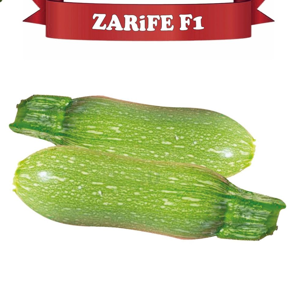 Zarife F1 Mini Kabak Tohumu 500 Ad.