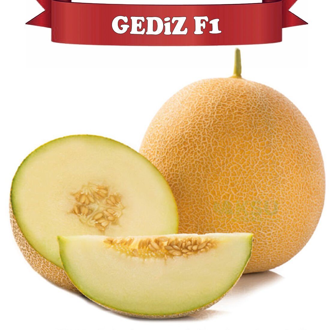 Gediz F1 Galya Kavun Fidesi