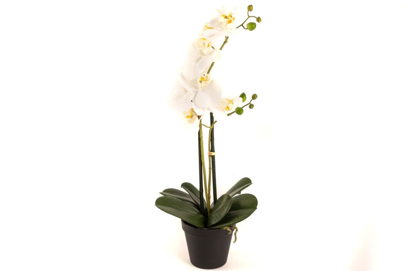 Beyaz 2li Yapay Orkide
