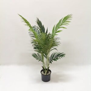 Kentia Palm Tree 180 CM