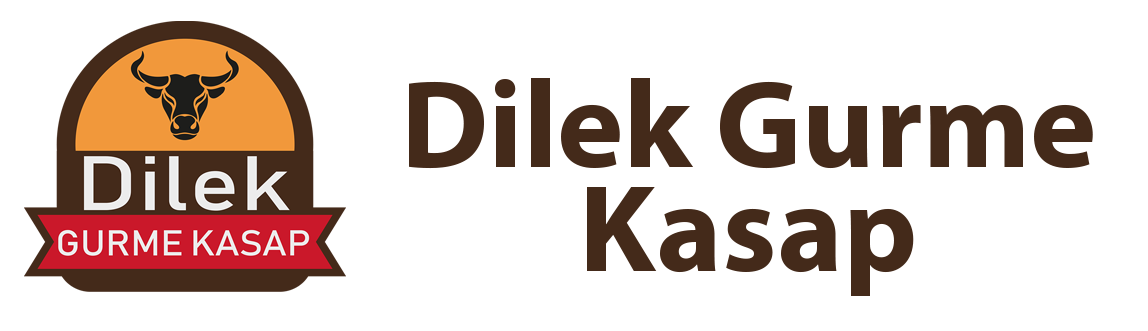 Dilek Gurme Logo
