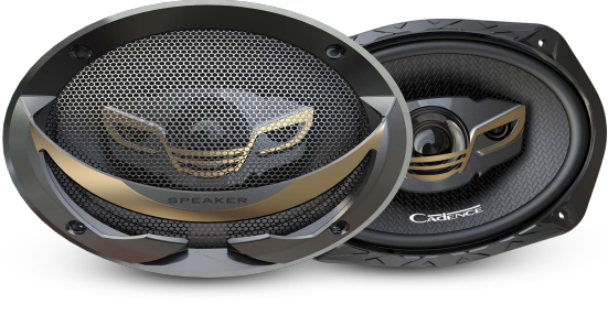 Speaker ZX6994