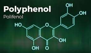 Polifenol Nedir ve Neden Önemlidir?