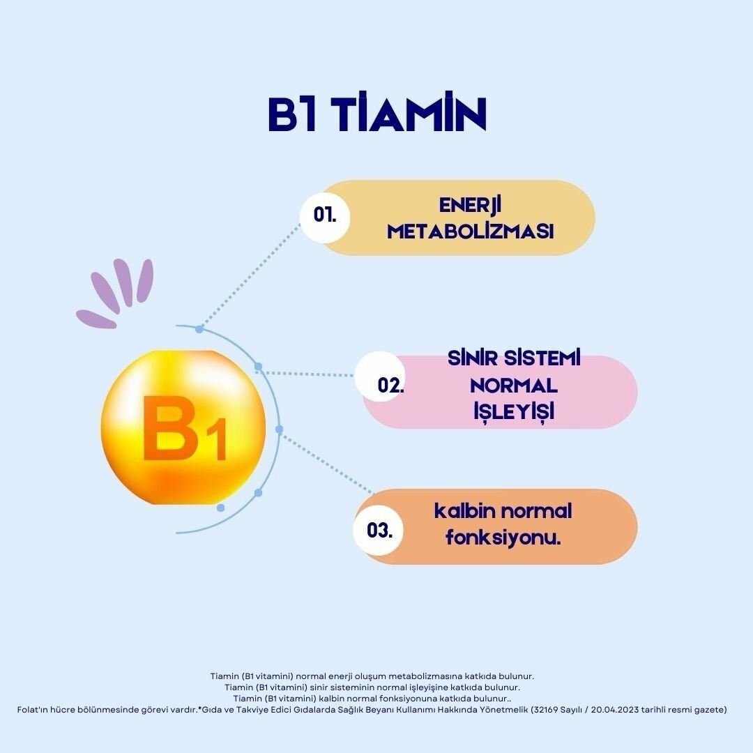 B 1 (TİAMİN) VİTAMİNİ