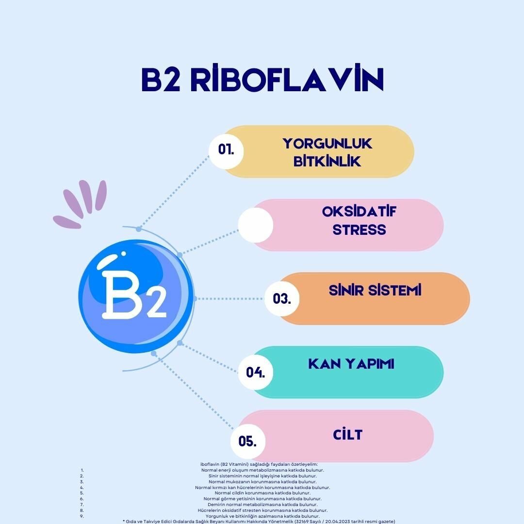 B 2 (RİBOFLAVİN ) VİTAMİNİ