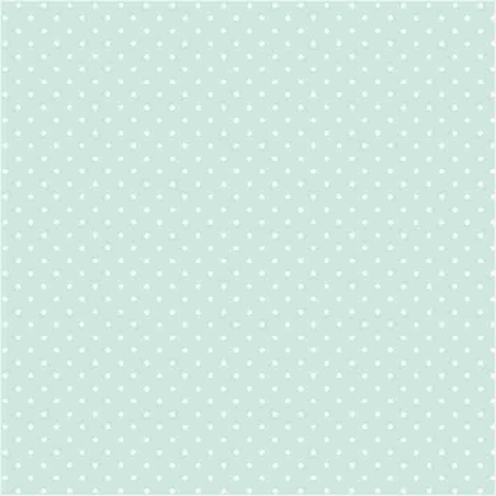 Pastel Yeşil Zemin Beyaz Puanlı Desenli Keçe Plaka  (DK P371)