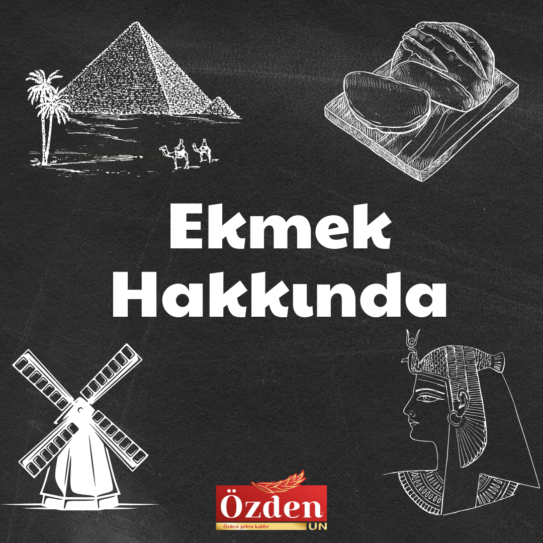 Ekmek Hakkında Faydalı Bilgiler