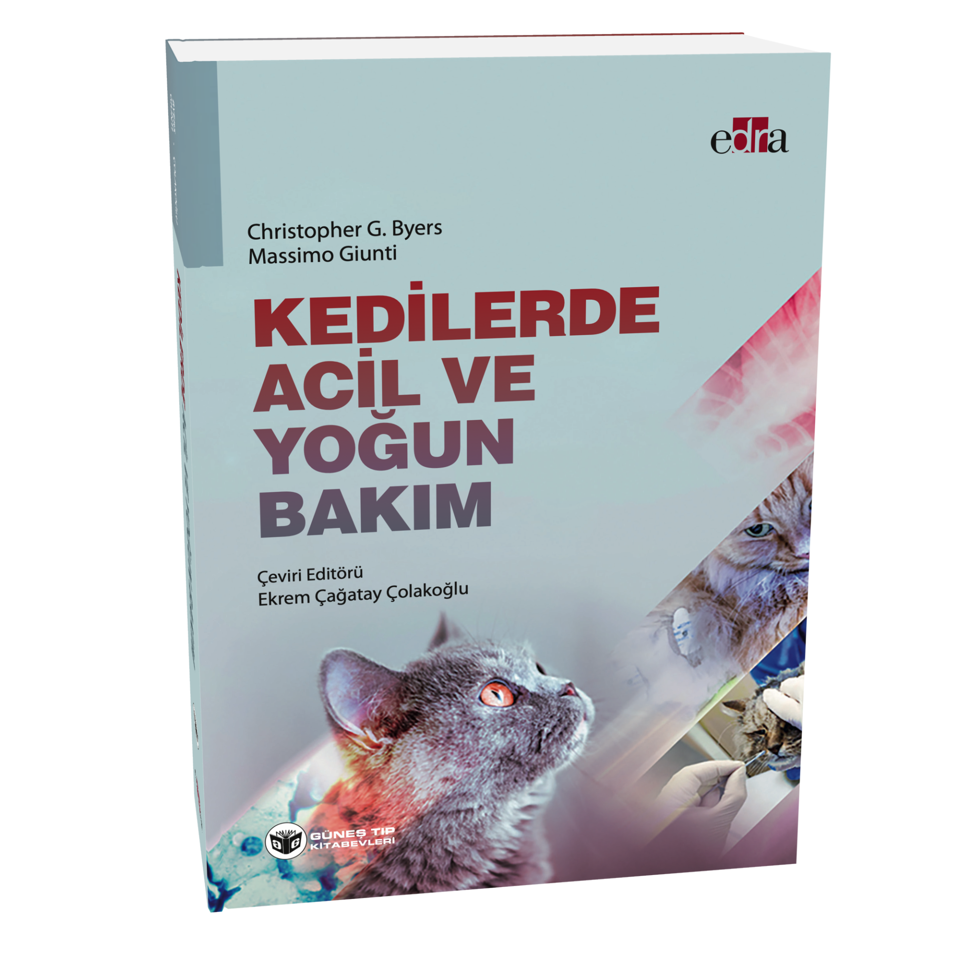 Kedilerde Acil ve Yoğun Bakım
