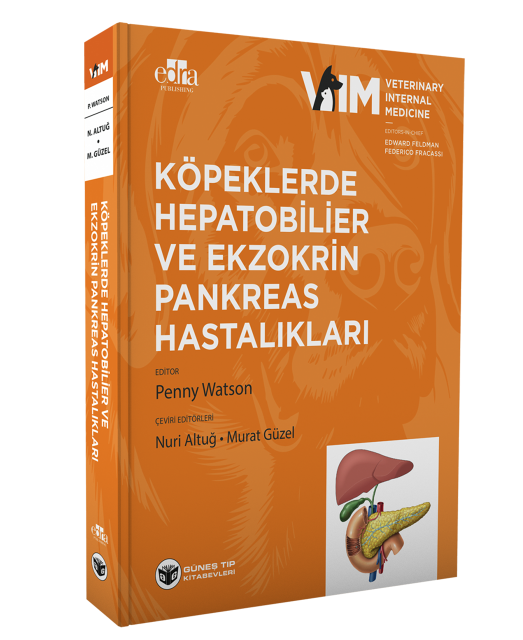 FELDMAN - Köpeklerde Hepatobiliyer ve Ekzokrin Pankreas Hastalıkları (Videolu)