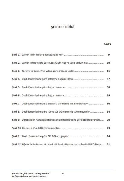 Çocukluk Çağı Şişmanlık Araştırması