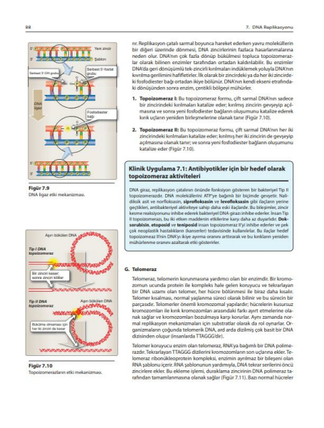 Lippincott Hücre ve Moleküler Biyoloji