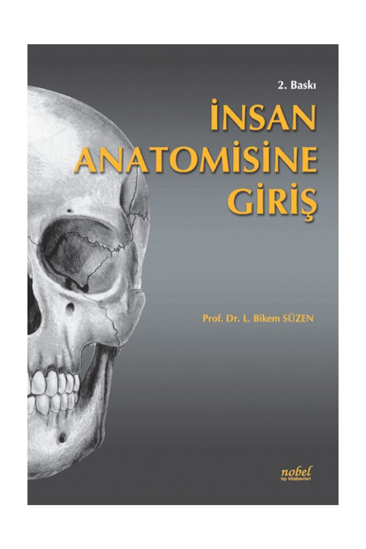 İnsan Anatomisine Giriş