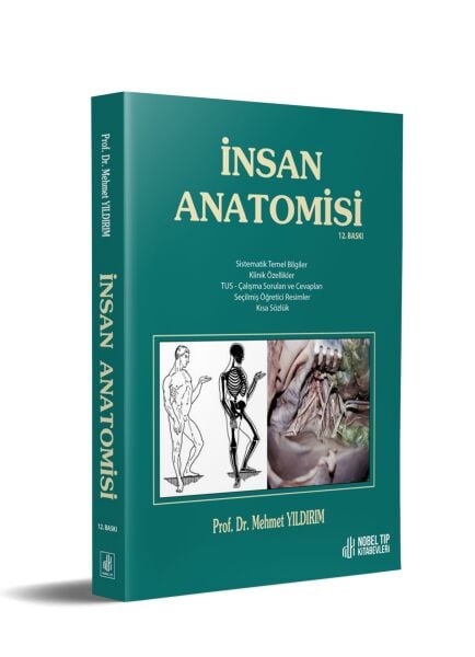 İnsan Anatomisi / Yıldırım ( 12. Baskı )