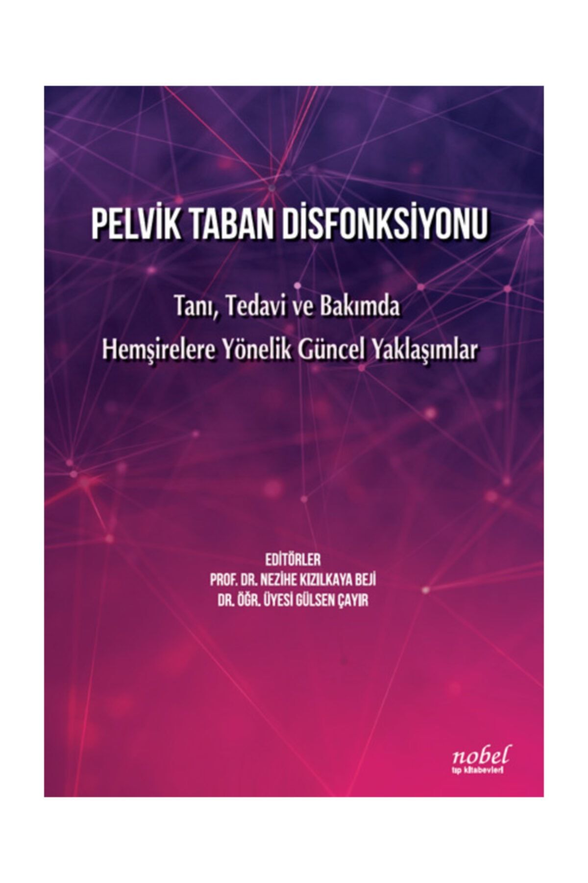 Pelvik Taban Disfonksiyonu: Tanı, Tedavi ve Bakımda Hemşirelere Yönelik Güncel Yaklaşımlar