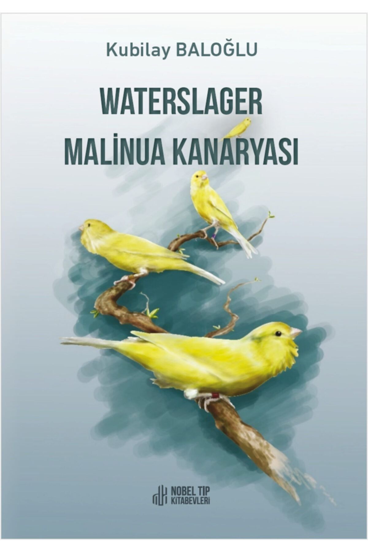 Waterslager Malinua Kanaryası: Ötümü-Bakımı-Eğitimi-Beslenmesi ve Hastalıkları