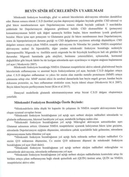 Baş, Ağrıları, Migren Bütüncül Tanı ve Tedavi