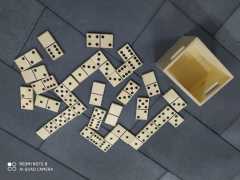 dev domino