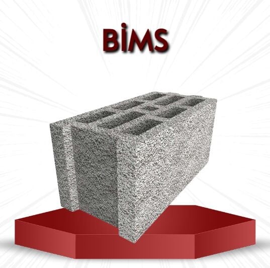 Bims