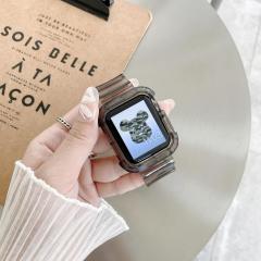 Apple Watch Transparent Kordon - Füme