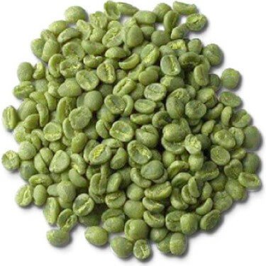 Yeşil Kahve Tane Rubiaceae
