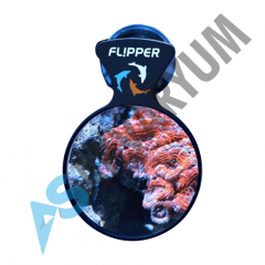 Flipper - DeepSee Viewer 4''