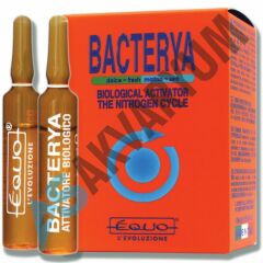 Equo - Bacterya - Bakteri Kültürü