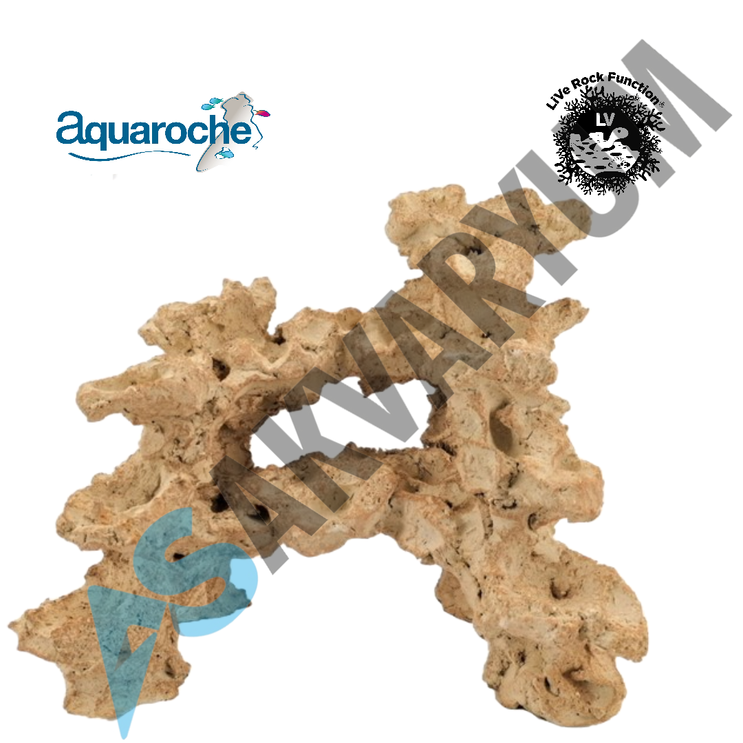 Aquaroche - 509306 Large Resif Rock