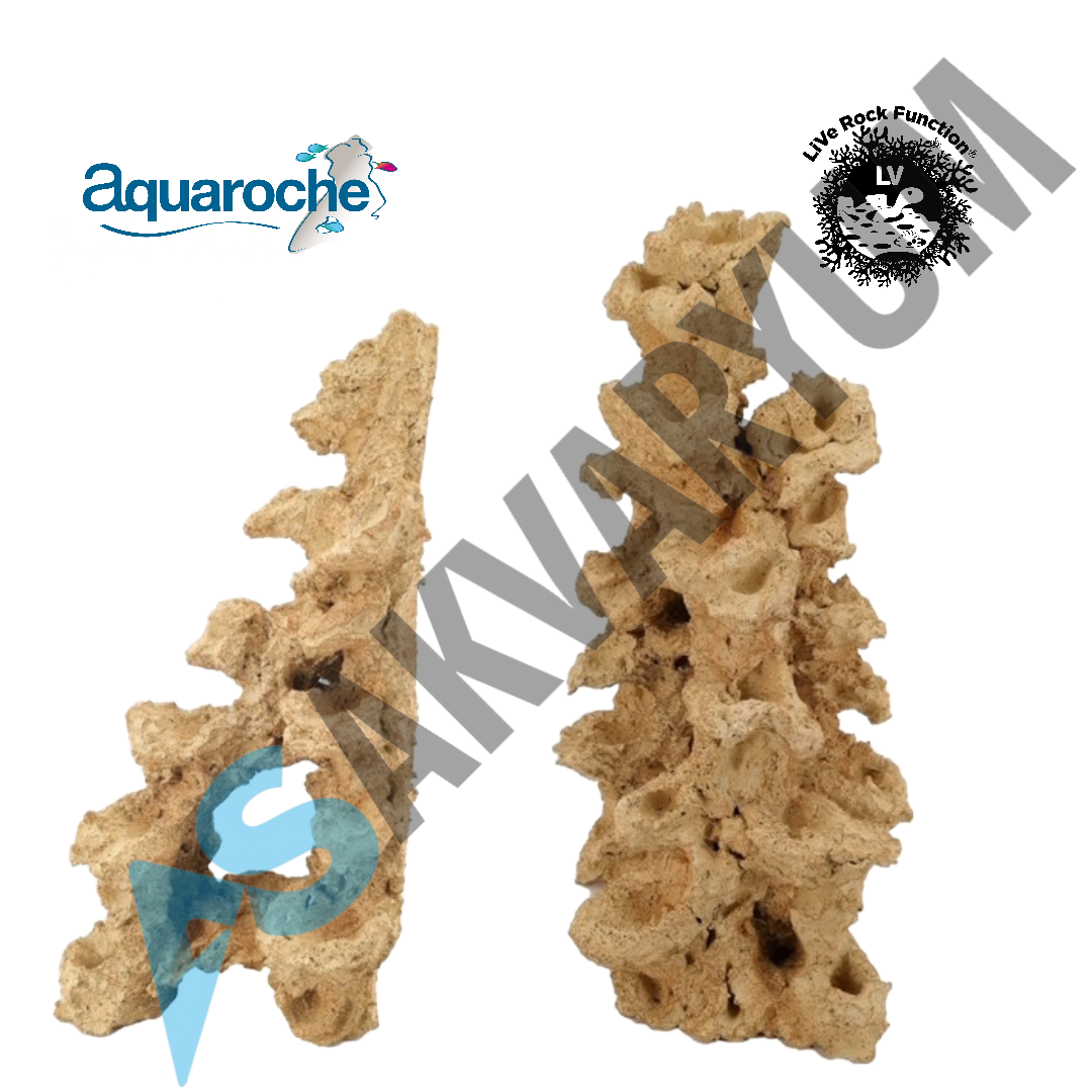 Aquaroche - 509526 Flat Back Arc Rock