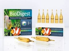 Prodibio - BioDigest 6 pcs
