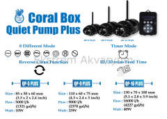 Coral Box - QPS 16