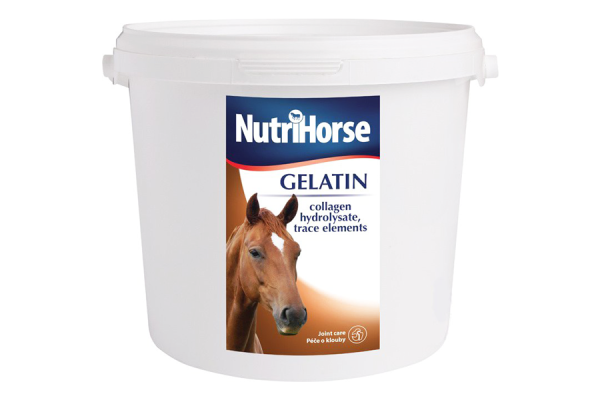 Nutri Horse Gelatin Atlar için Tendon ve Kıkırdak Destekleyici Yem Katkısı 1 Kg