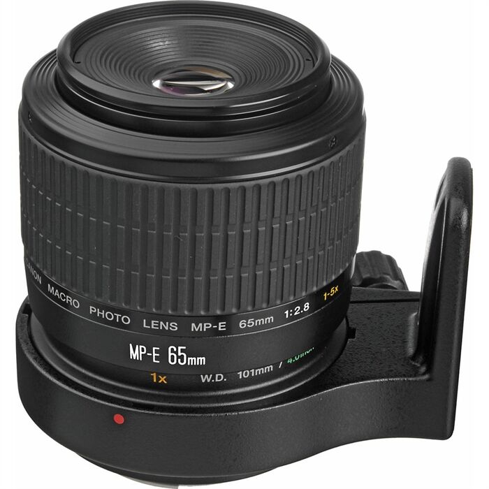 Canon MP-E 65mm f2.8 1-5x Macro Photo Lens