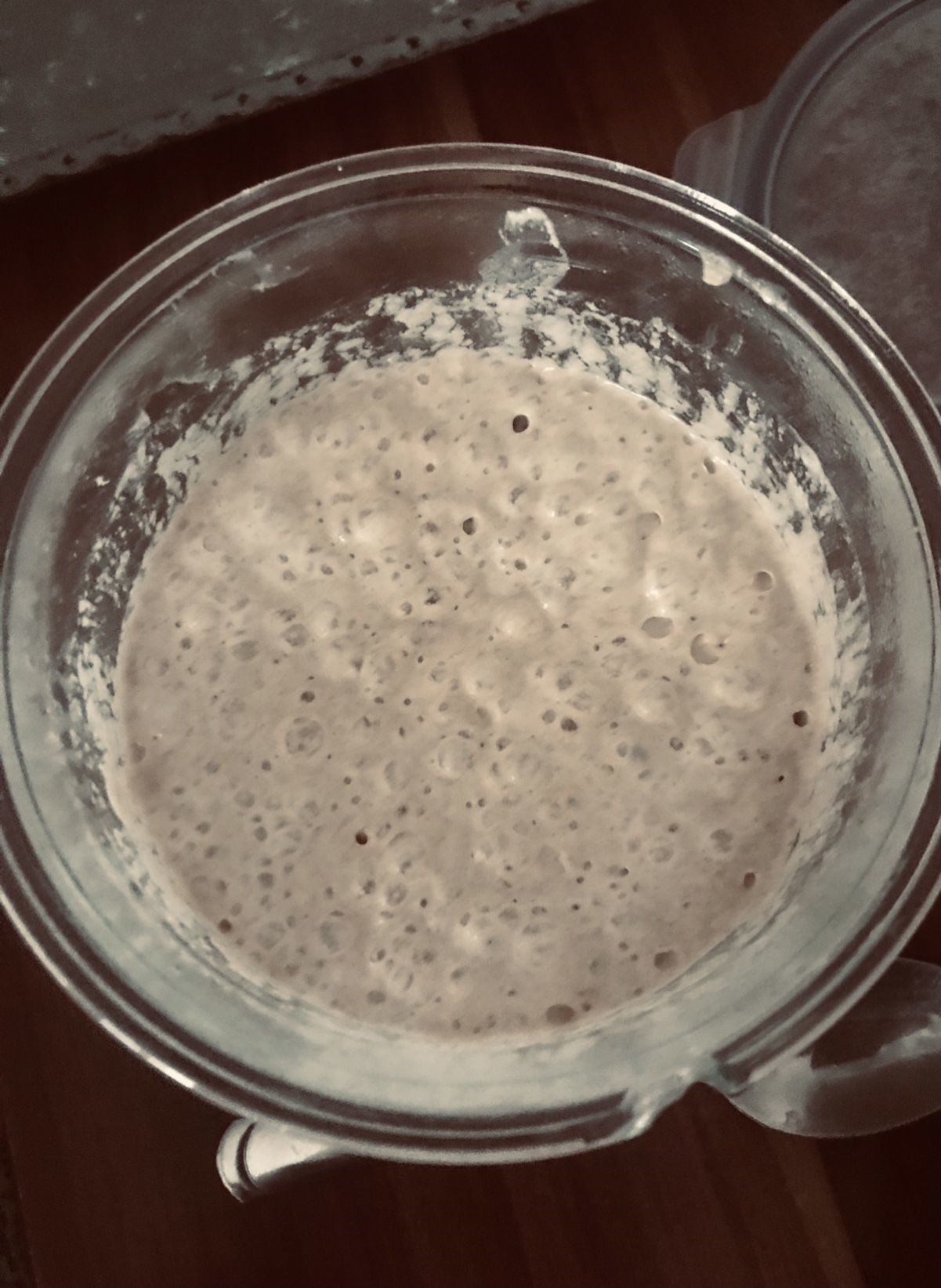 Ekşi Maya ( 50 gr )