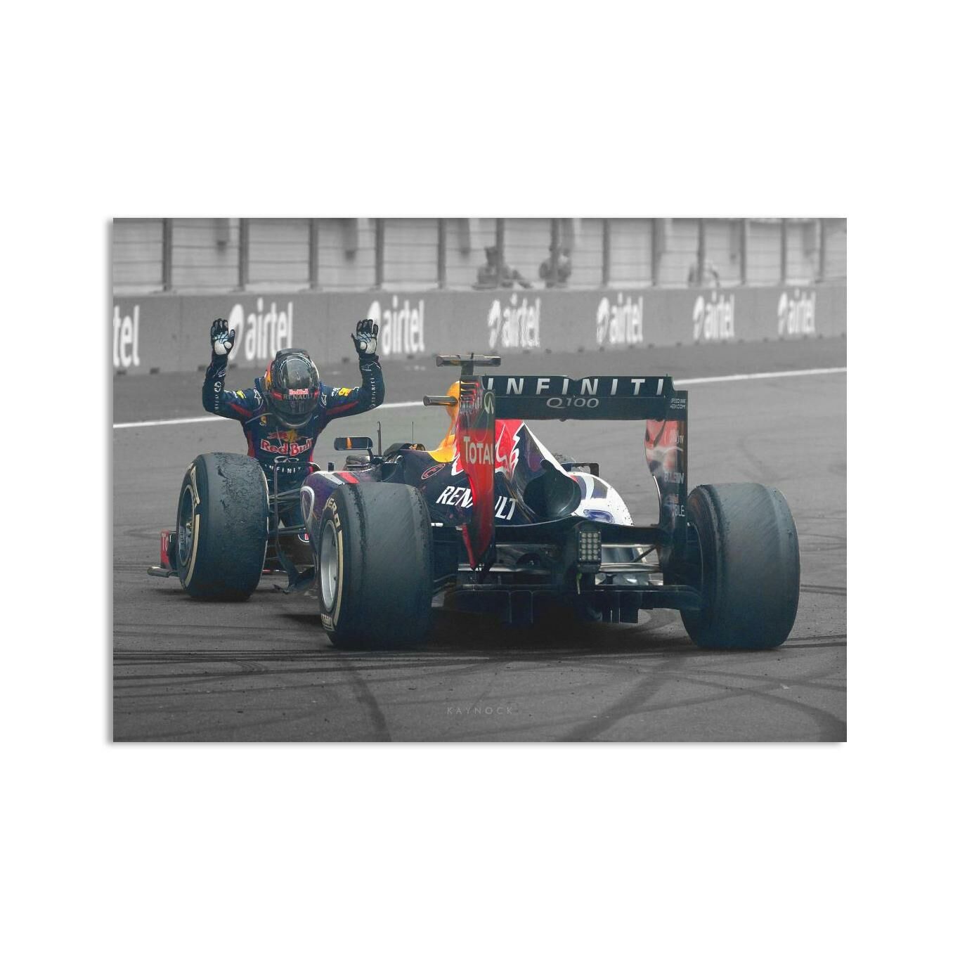 Sebastian Vettel RB9 Kanvas Tablo