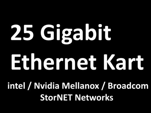 Fiber Ethernet kartı (25 Gigabit)