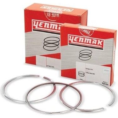 Motor Segman'ı STD (Adet) | Renault Laguna 2, Megane 2, Scenic 2 2.0 16V F4R