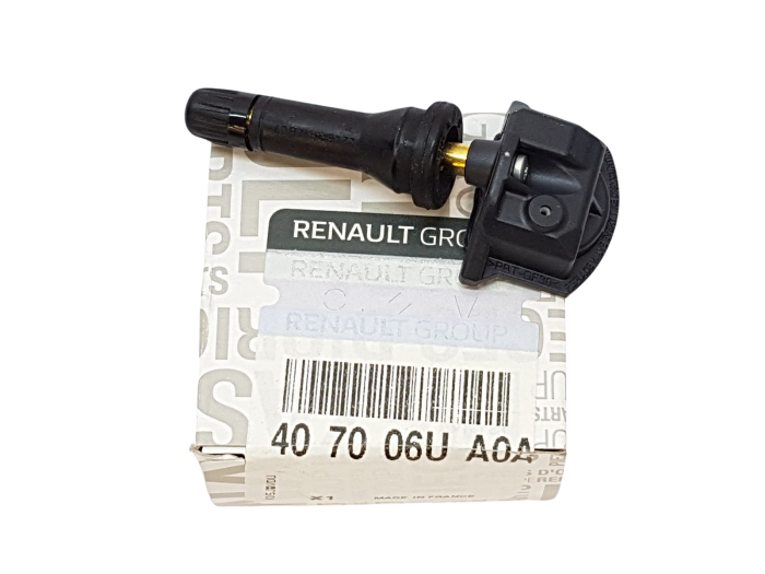 Lastik Basınç Sensörü (Kaptörü) | Renault Austral, Express Combi