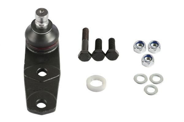 Rotil (10MM) | Renault Clio 1, Clio 2, Twingo
