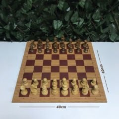 Başlangıç Satranç Seti-4
