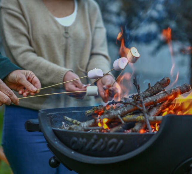 2 Dessert Suggestions on the Barbecue