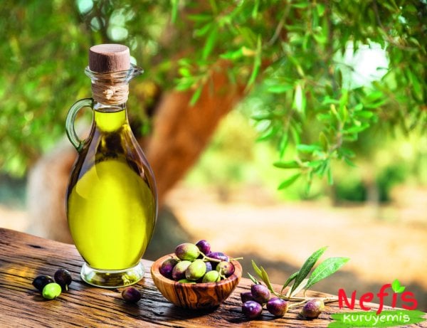 Olive Oil (Cold Pressed) 5LT  (Zeytin Yağı (Soğuk Sıkım) 5LT