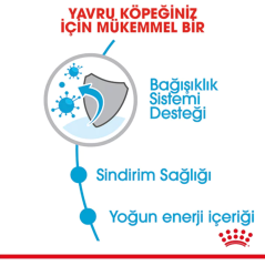 Royal Canin Mini Junior Küçük Irk Yavru Köpek Maması 4Kg