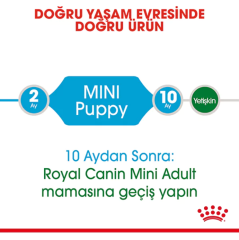 Royal Canin Mini Junior Küçük Irk Yavru Köpek Maması 4Kg