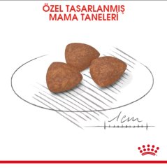 Royal Canin Mini Junior Küçük Irk Yavru Köpek Maması 4Kg