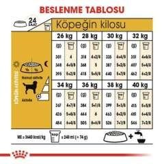 Royal Canin Labrador Yetişkin Köpek Maması 12 kg