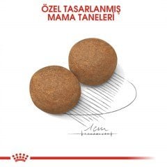 Royal Canin Maxi Adult Büyük Köpek Maması 15 kg